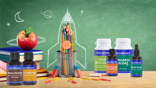 📘 Как да подобрим концентрацията на децата през учебната година?